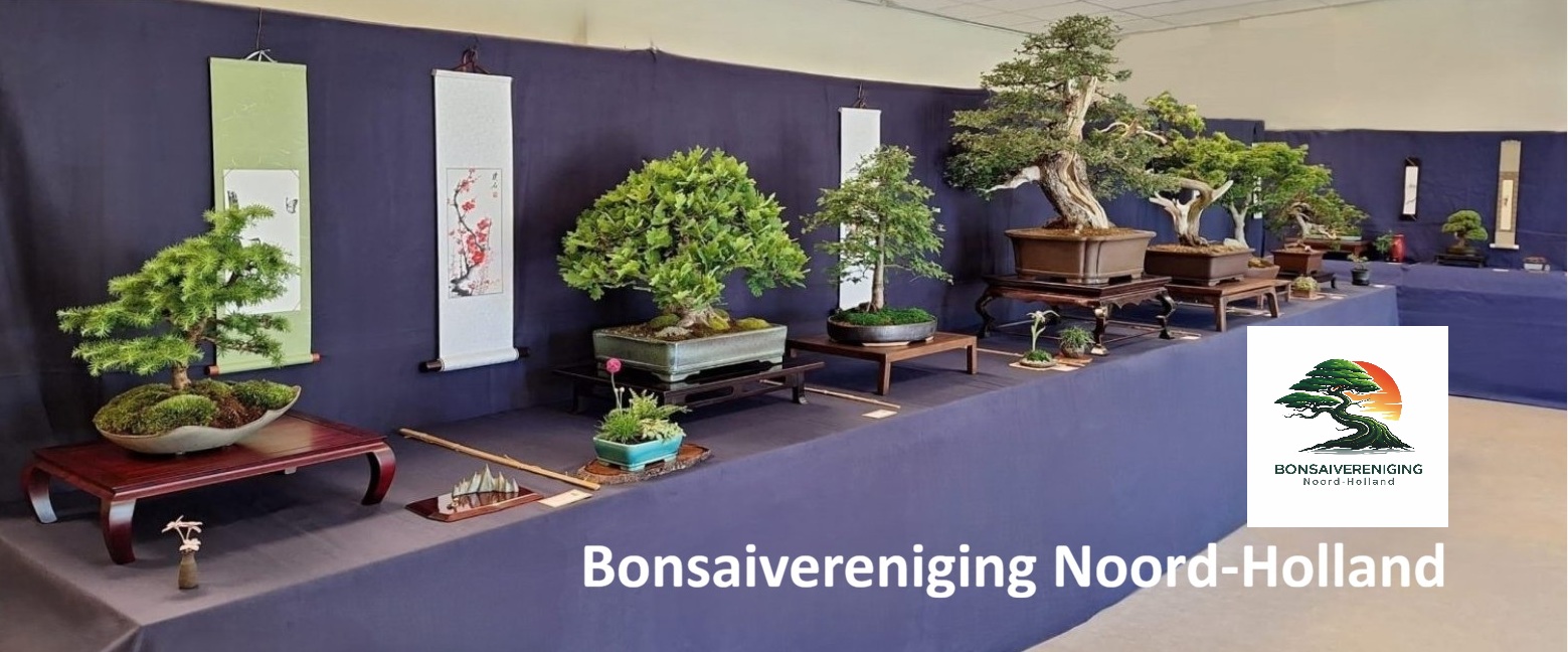 Bonsai vereniging Noord-Holland.